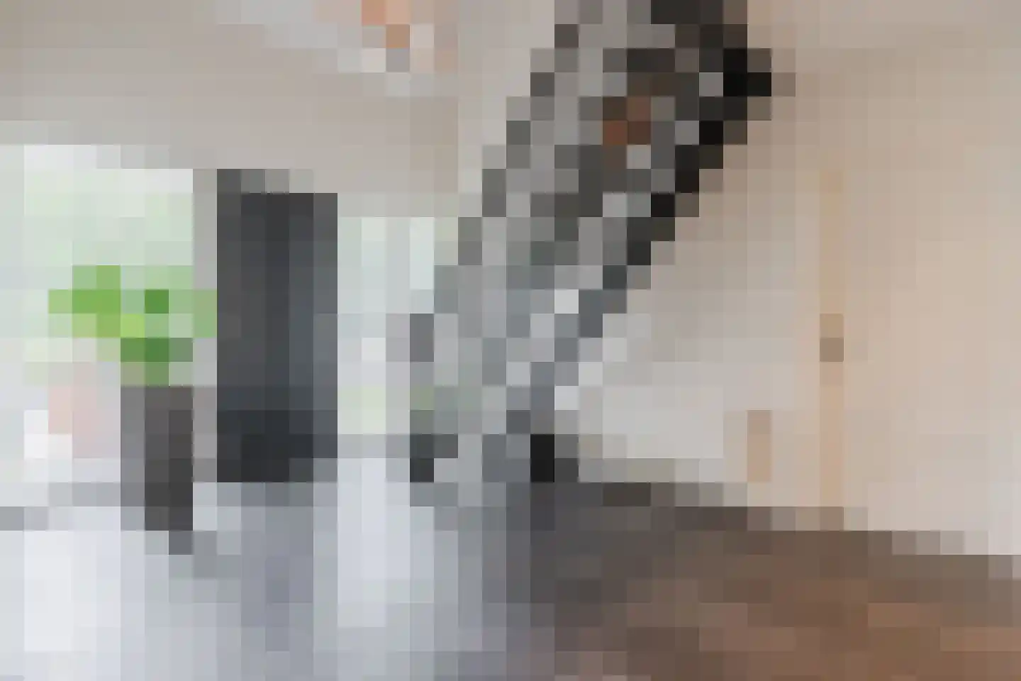 Berkenlaan 10 Hoogeveen thumbnail 27
