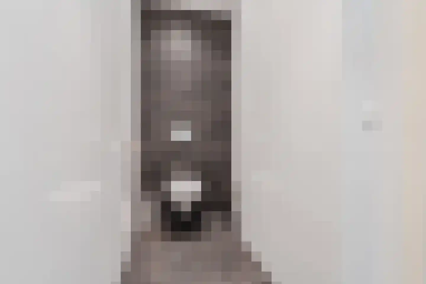 Berkenlaan 10 Hoogeveen thumbnail 30