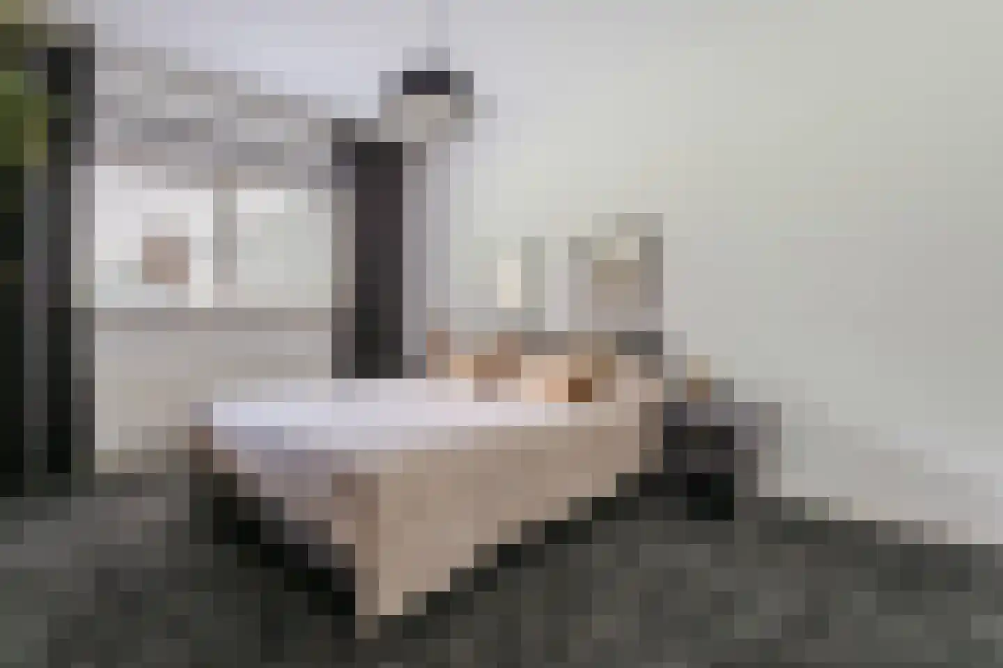 Berkenlaan 10 Hoogeveen thumbnail 31
