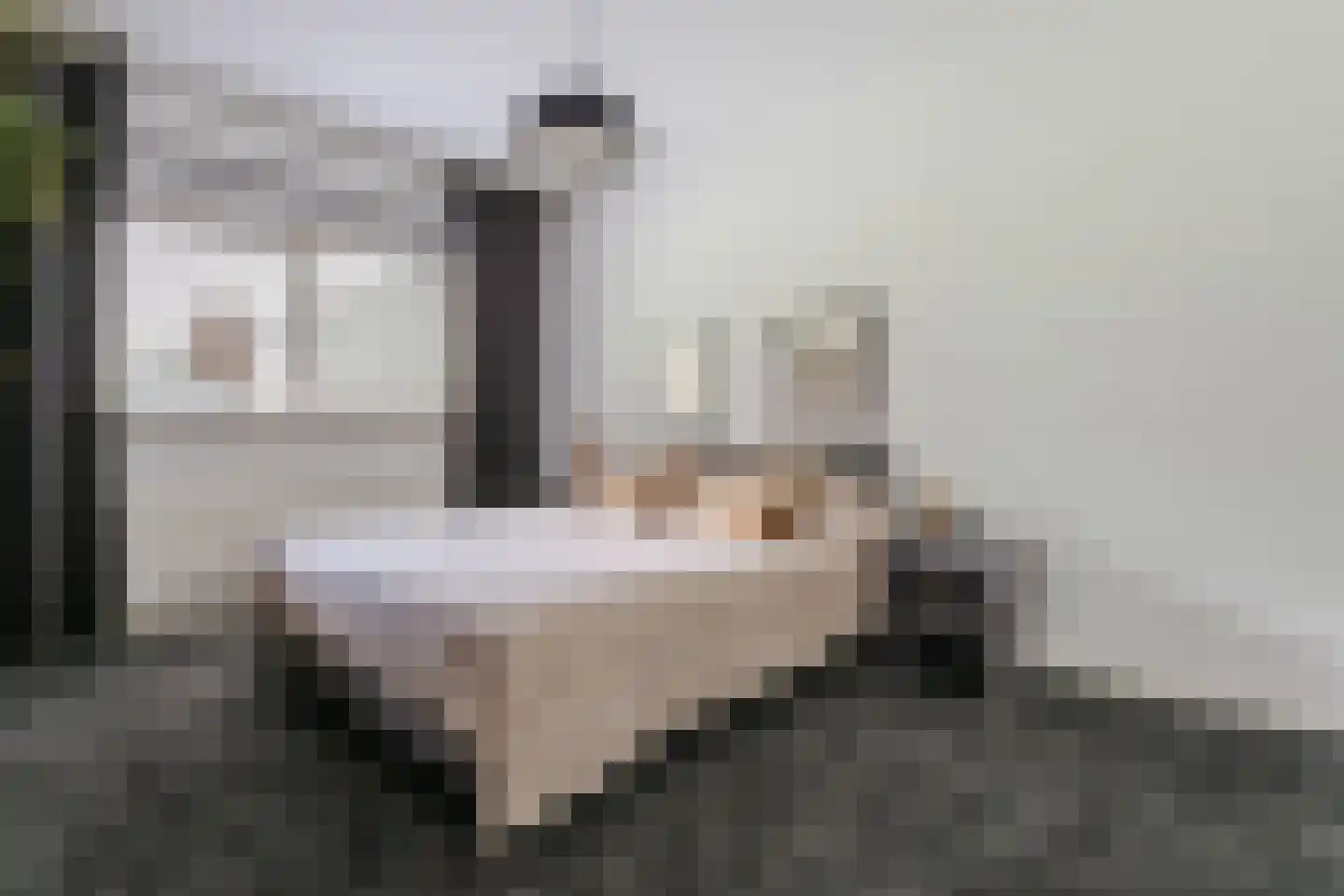 Berkenlaan 10 Hoogeveen thumbnail 31