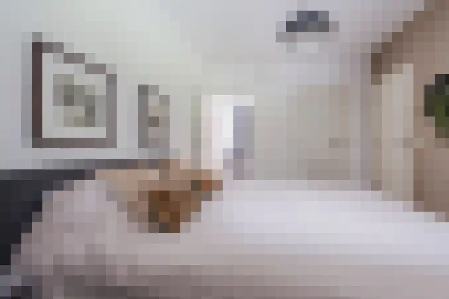 Berkenlaan 10 Hoogeveen thumbnail 32