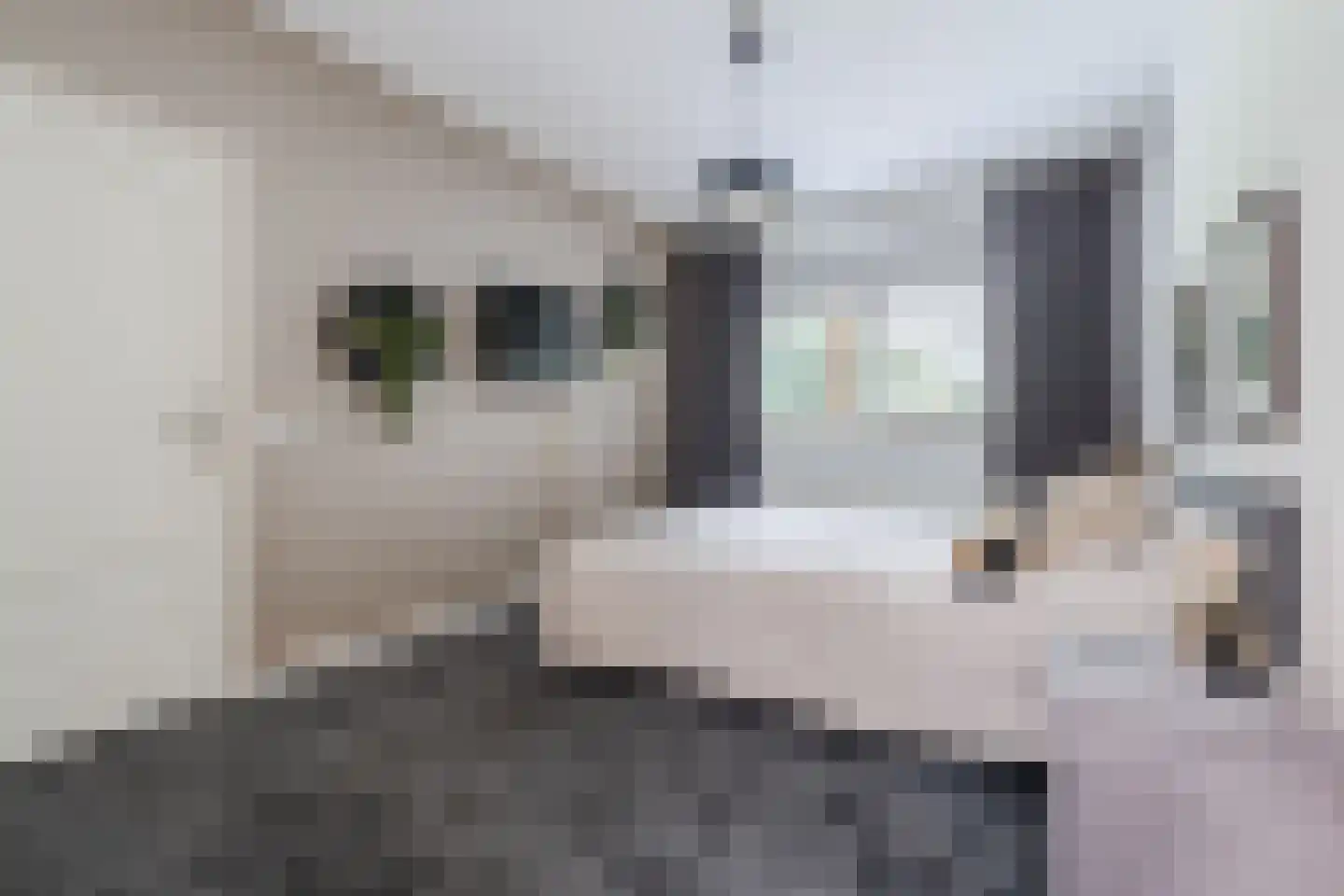 Berkenlaan 10 Hoogeveen thumbnail 33