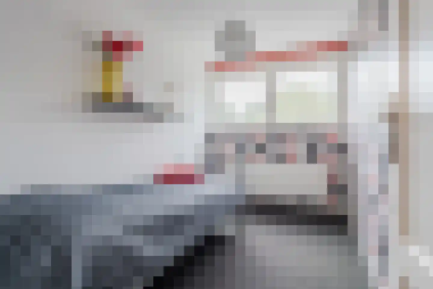 Berkenlaan 10 Hoogeveen thumbnail 40