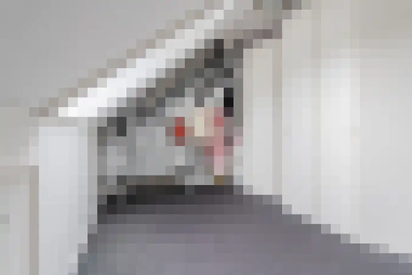 Berkenlaan 10 Hoogeveen thumbnail 49
