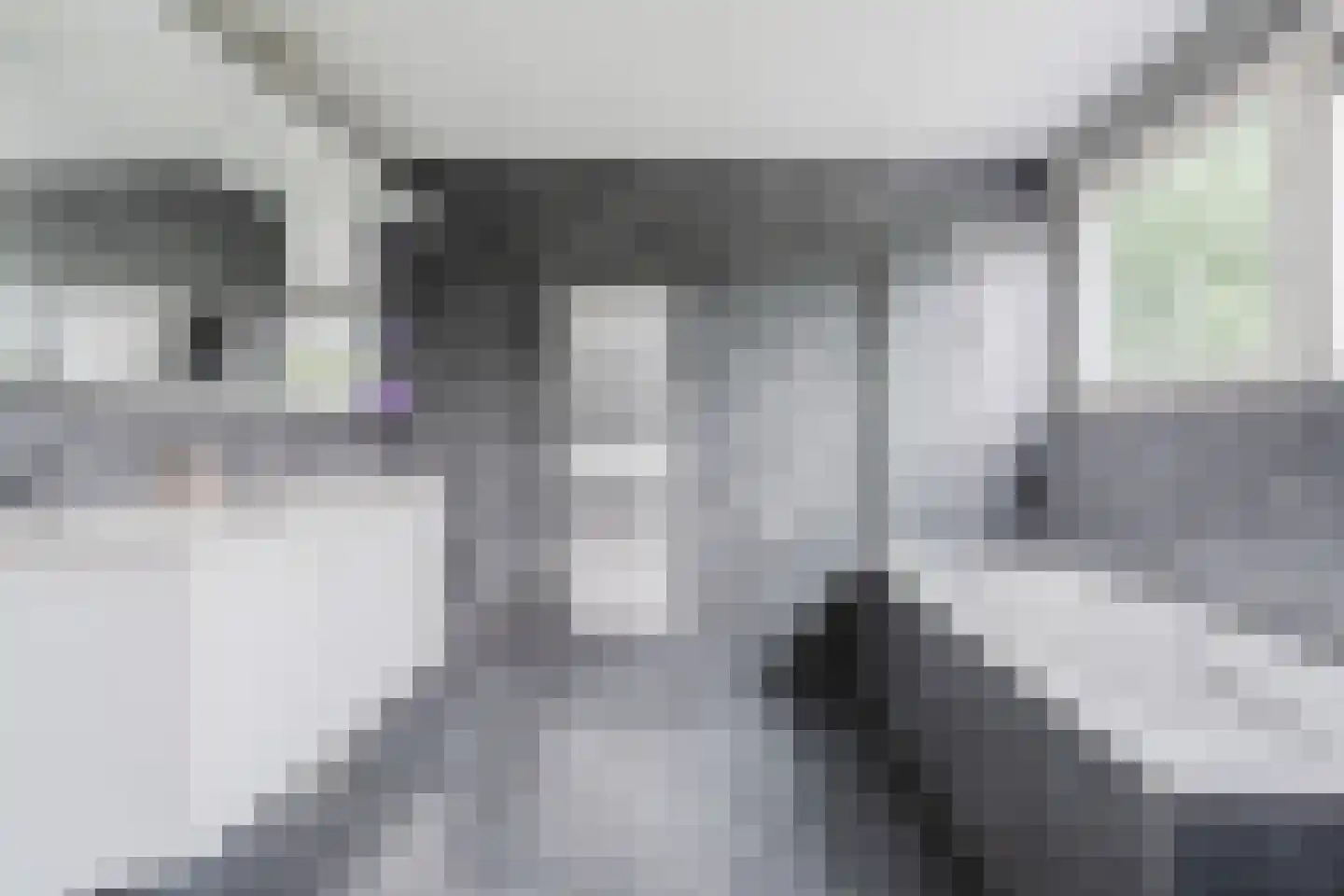 Berkenlaan 10 Hoogeveen thumbnail 52