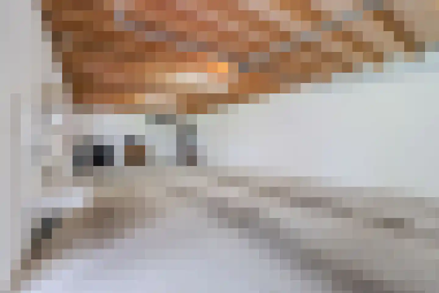 Berkenlaan 10 Hoogeveen thumbnail 55
