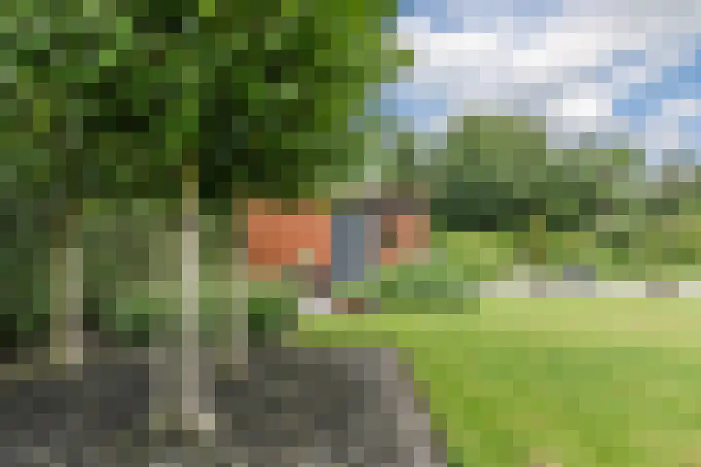 Berkenlaan 10 Hoogeveen thumbnail 63