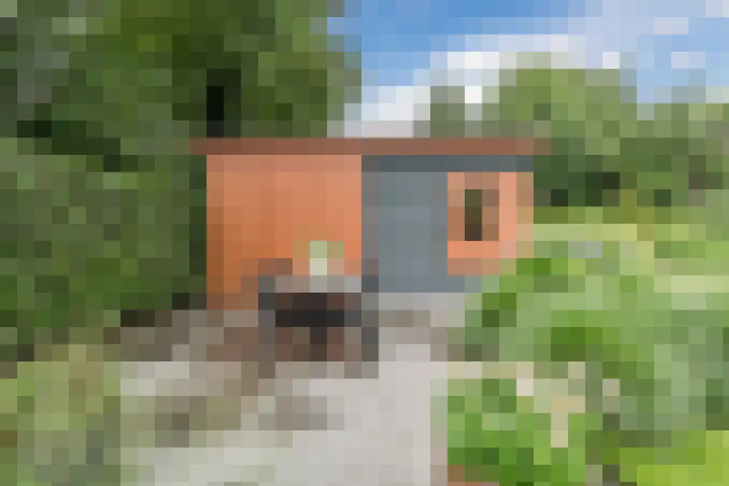 Berkenlaan 10 Hoogeveen thumbnail 65