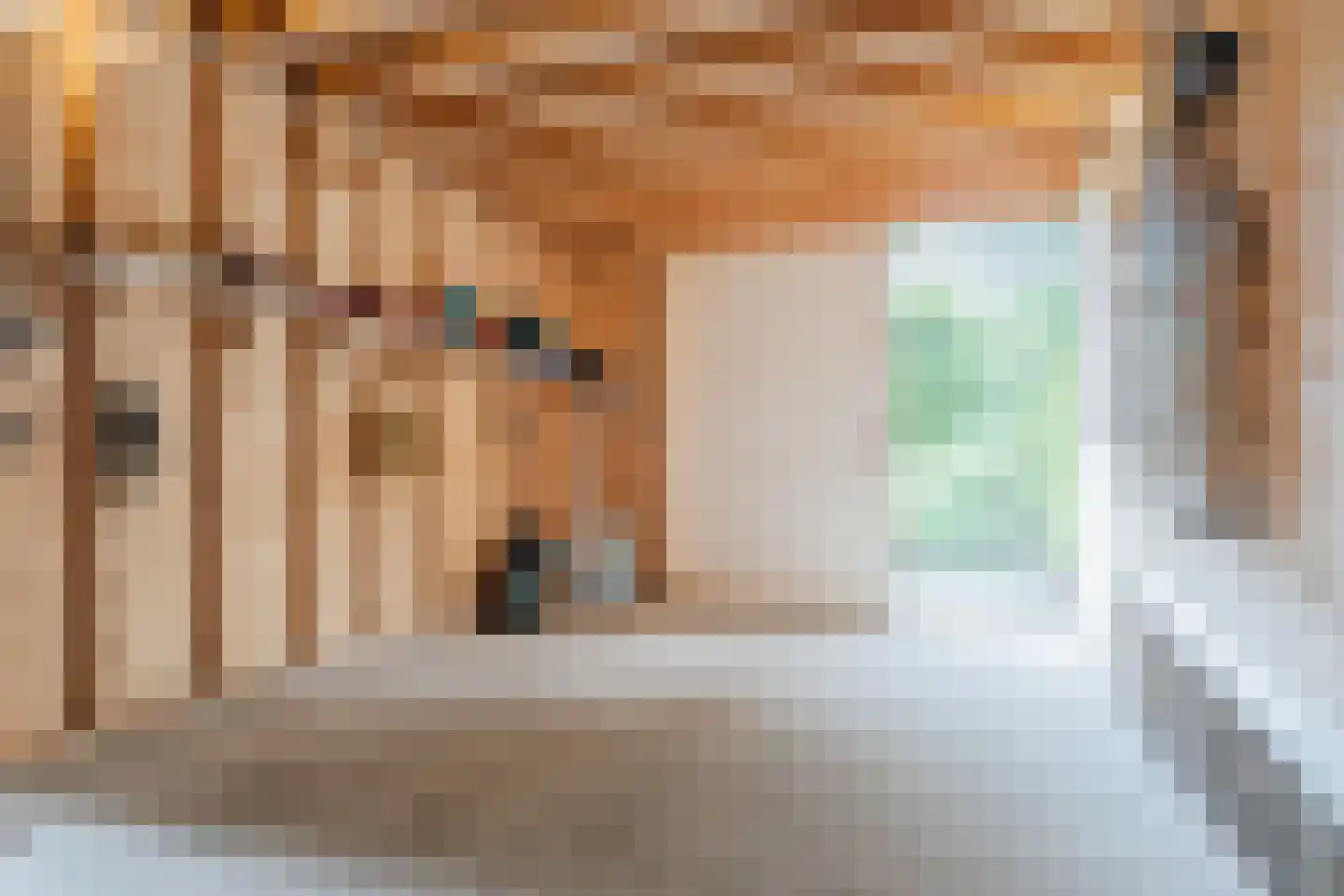 Berkenlaan 10 Hoogeveen thumbnail 66