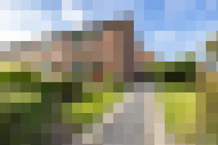 Berkenlaan 10 Tynaarlo thumbnail 18