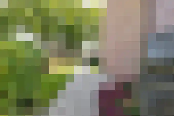 Berkenlaan 10 Tynaarlo thumbnail 19