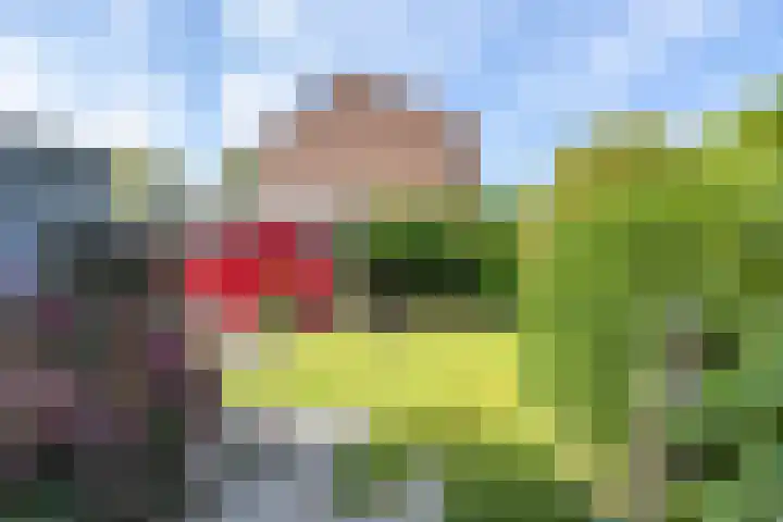 Berkenlaan 10 Tynaarlo thumbnail 20