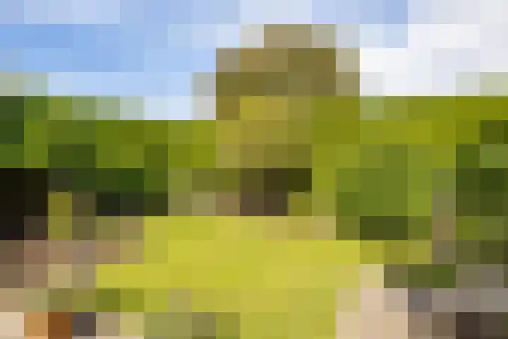 Berkenlaan 10 Tynaarlo thumbnail 24