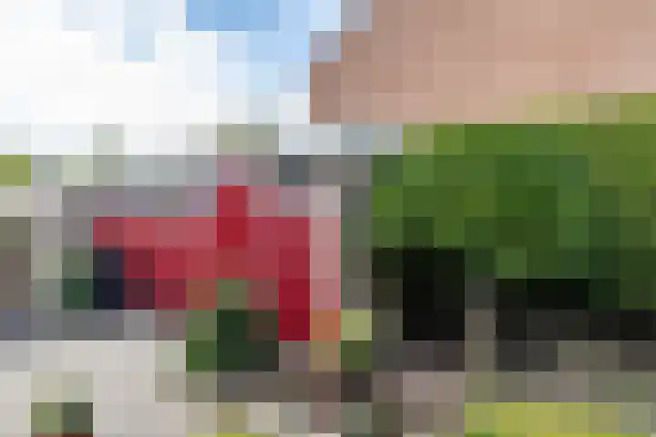 Berkenlaan 10 Tynaarlo thumbnail 26