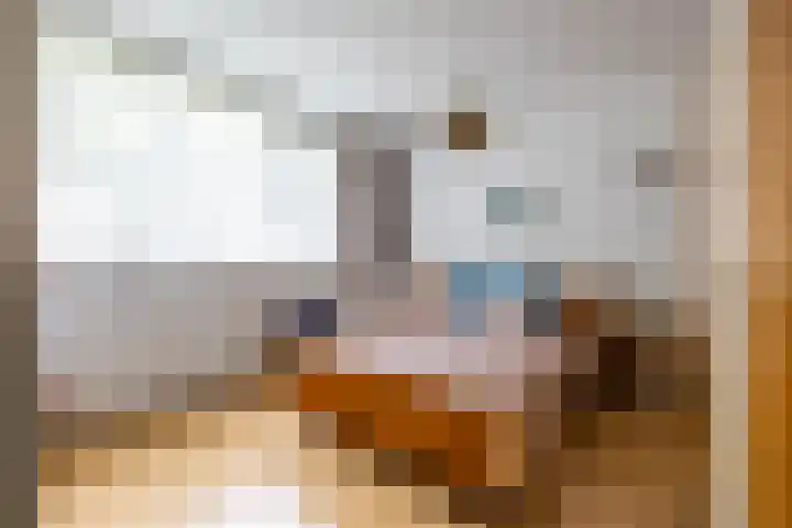 Berkenlaan 10 Tynaarlo thumbnail 33