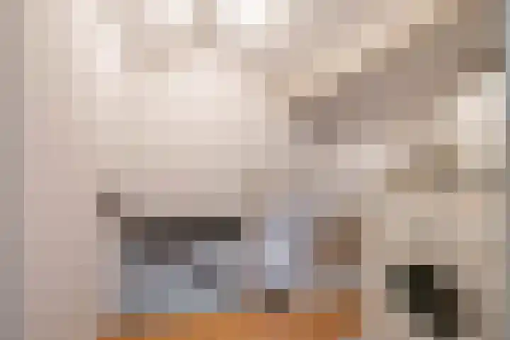 Berkenlaan 10 Tynaarlo thumbnail 39