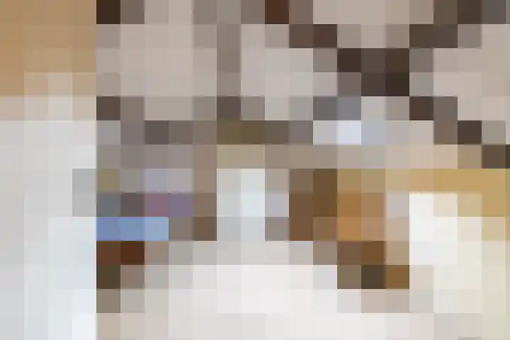 Berkenlaan 10 Tynaarlo thumbnail 40