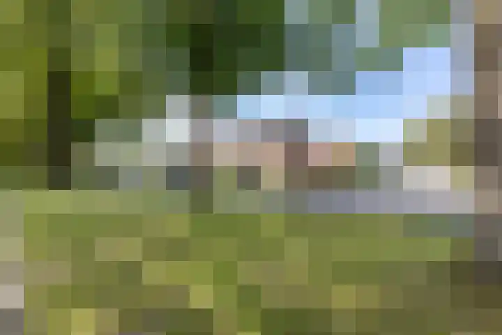 Berkenlaan 10 Tynaarlo thumbnail 42