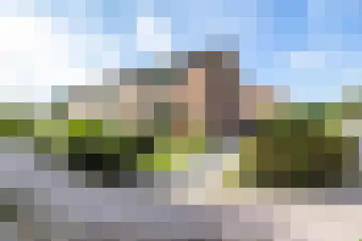 Berkenlaan 10 Tynaarlo thumbnail 43