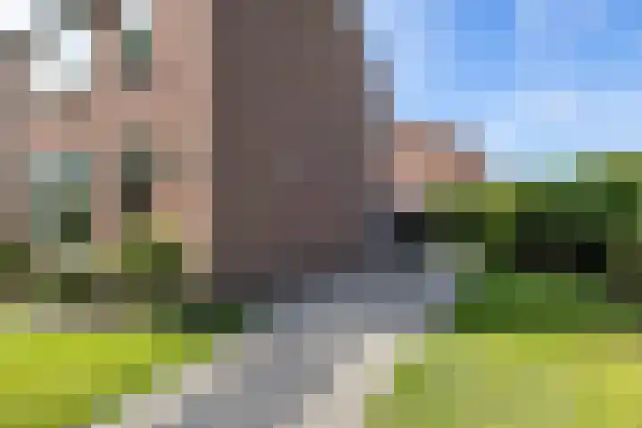 Berkenlaan 10 Tynaarlo thumbnail 44