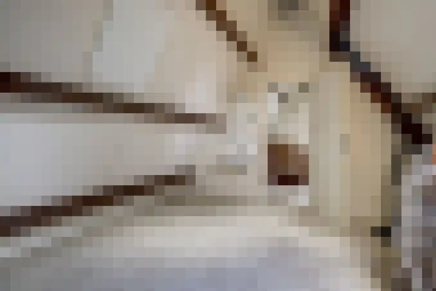 Berkenlaan 10 Velden thumbnail 15