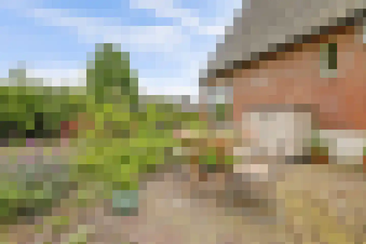 Berkenlaan 10 Velden thumbnail 16