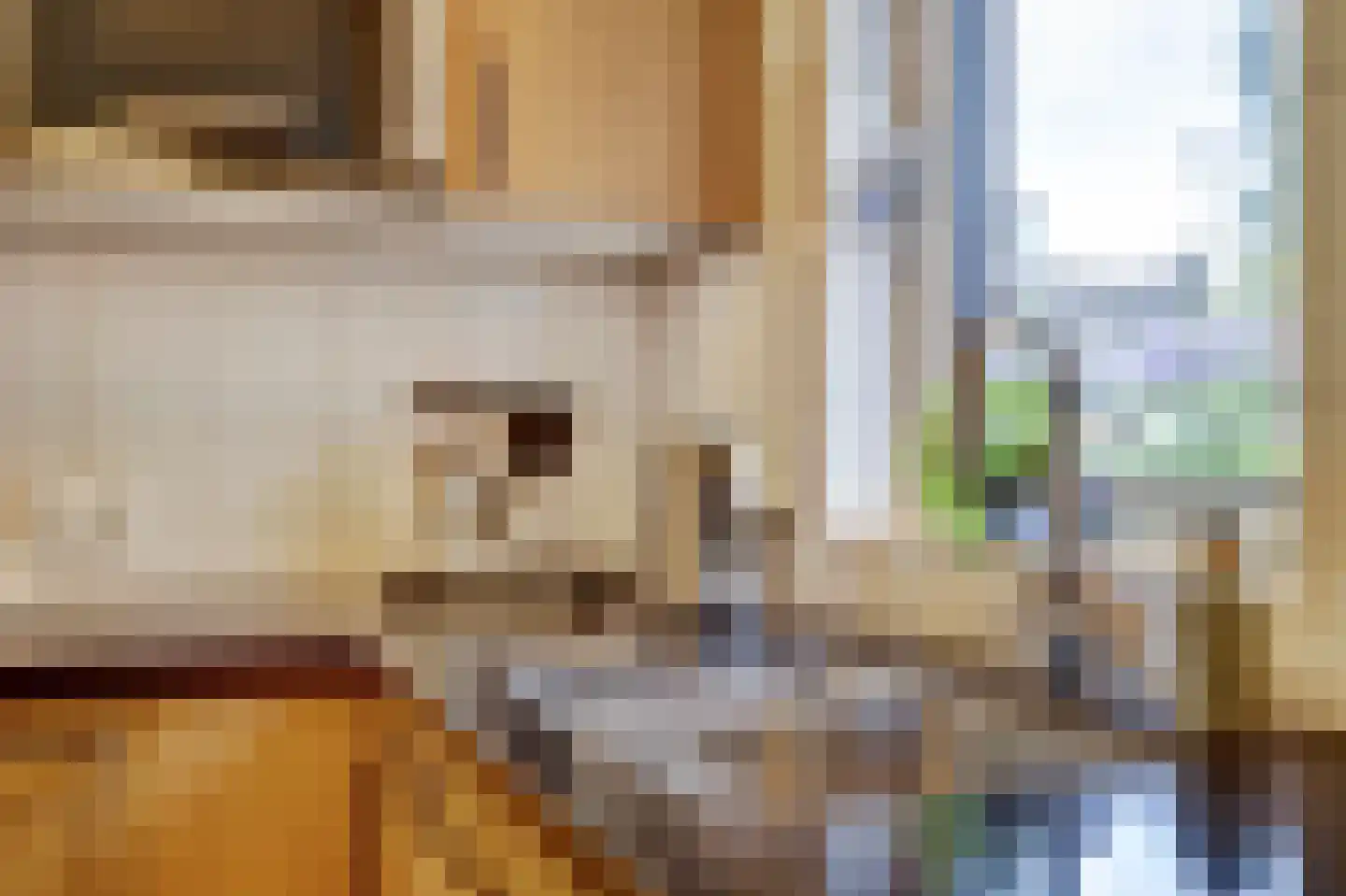 Berkenlaan 10 Velden thumbnail 17