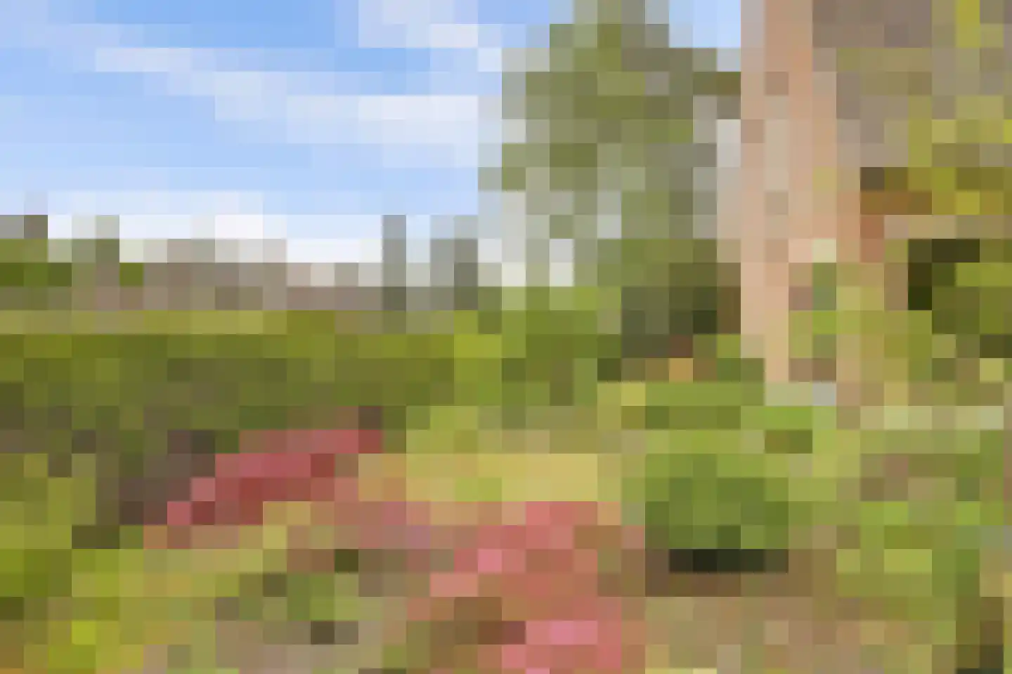 Berkenlaan 10 Velden thumbnail 18