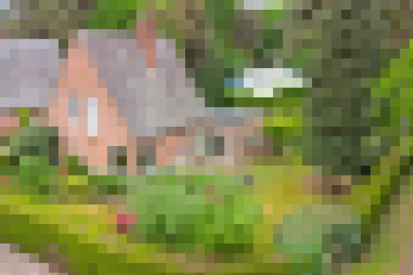 Berkenlaan 10 Velden thumbnail 20