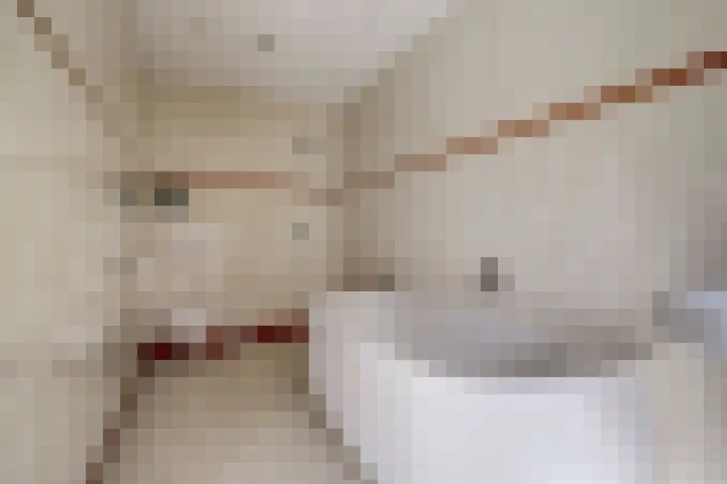 Berkenlaan 10 Velden thumbnail 23
