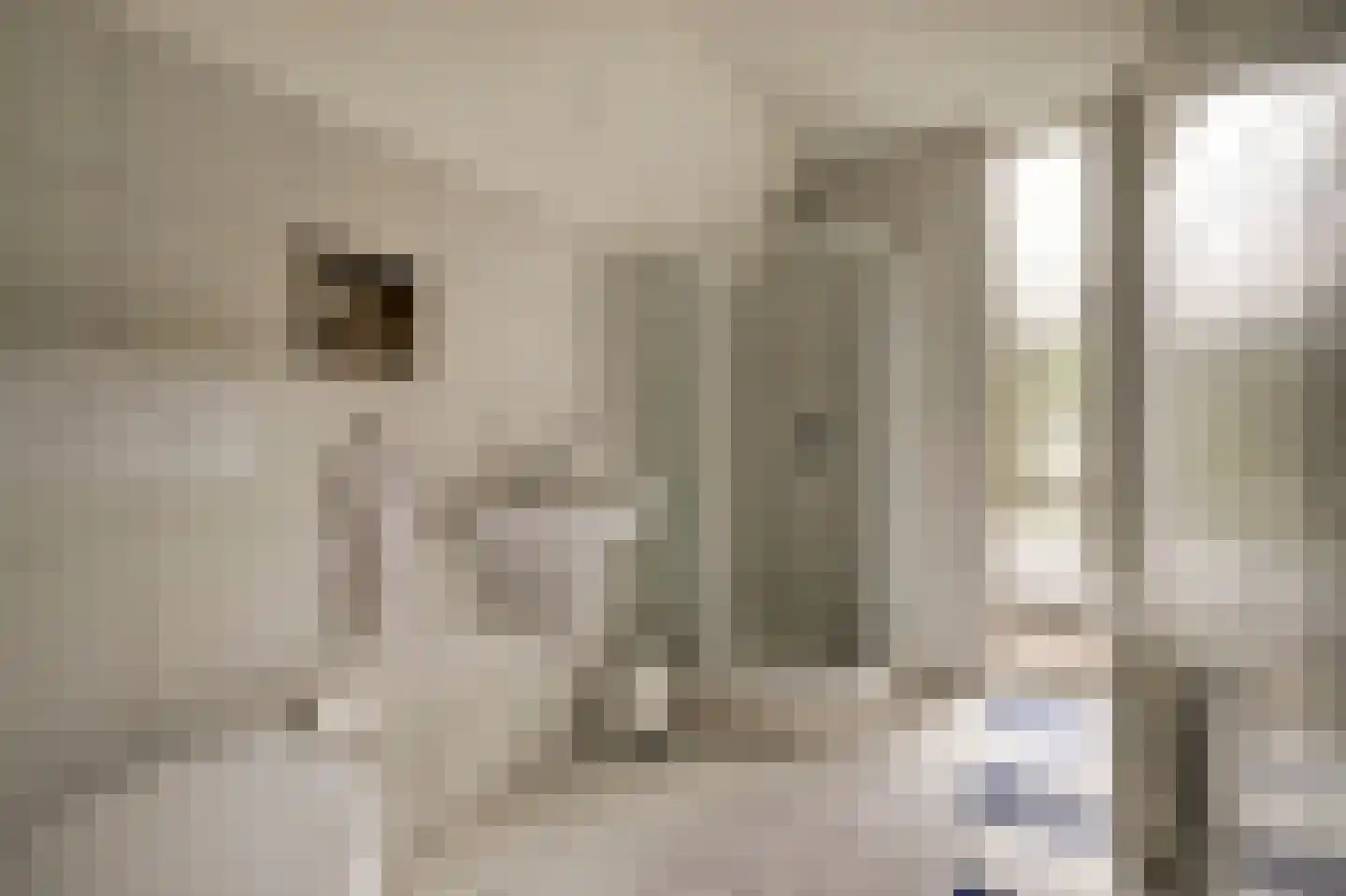 Berkenlaan 10 Velden thumbnail 26