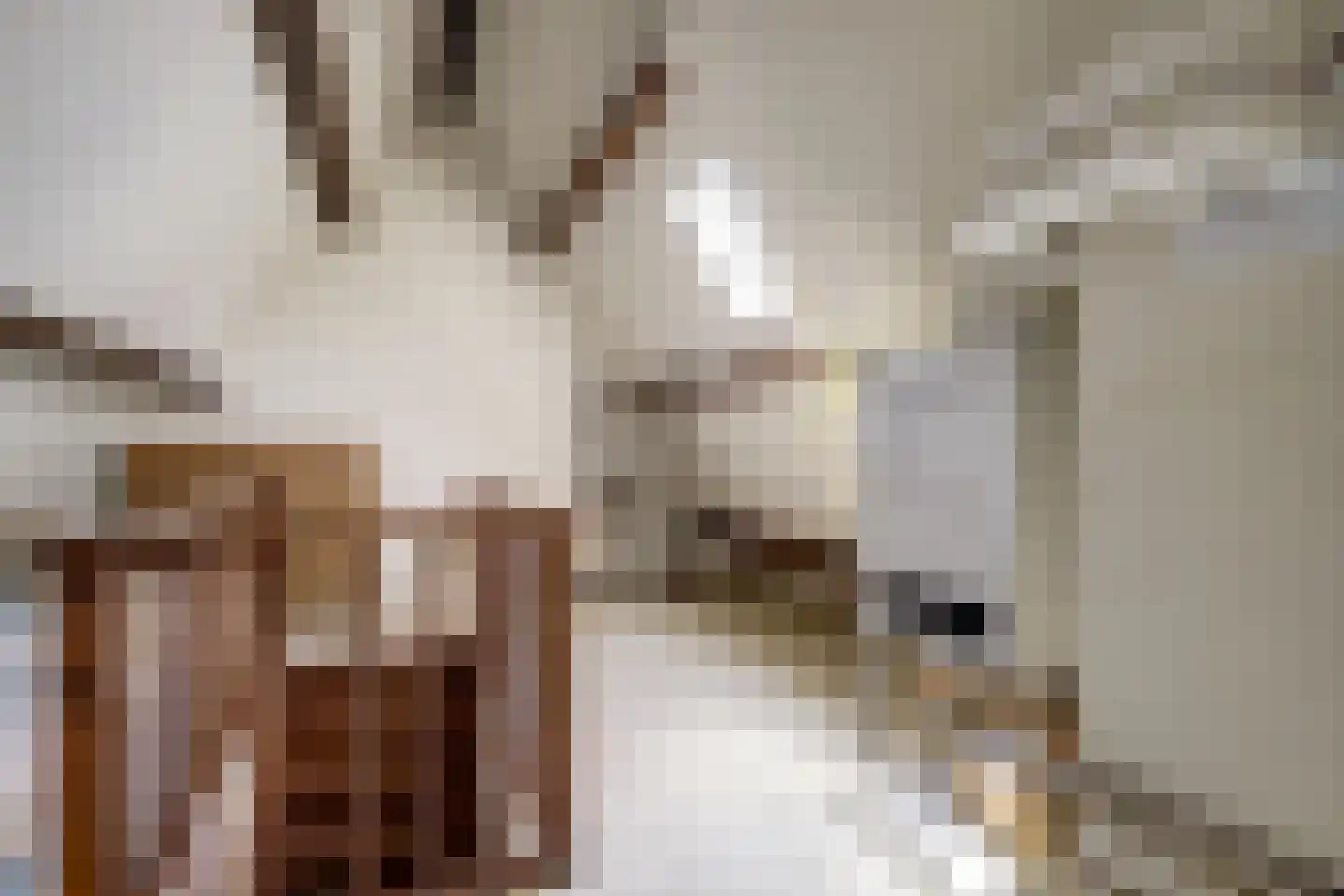 Berkenlaan 10 Velden thumbnail 30