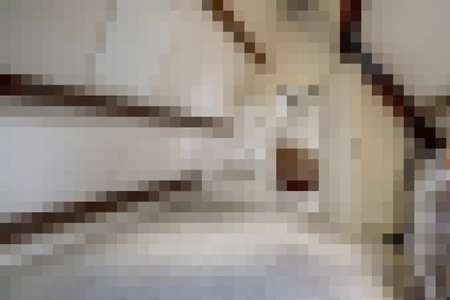 Berkenlaan 10 Velden thumbnail 31
