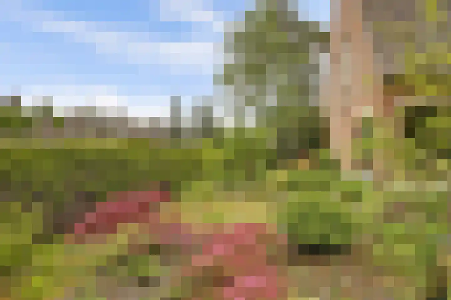 Berkenlaan 10 Velden thumbnail 34
