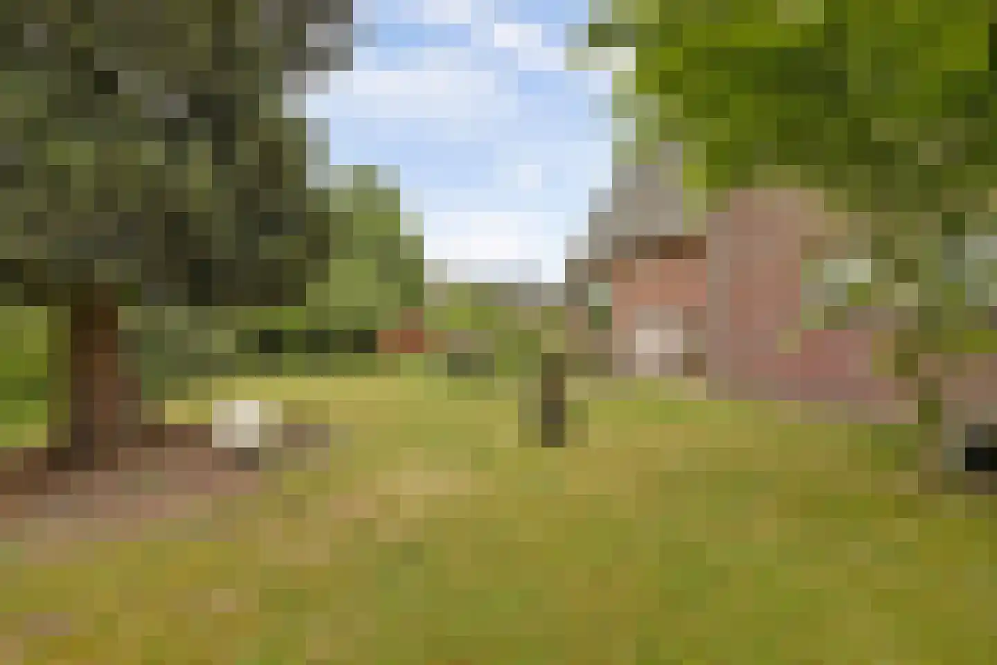 Berkenlaan 10 Velden thumbnail 38