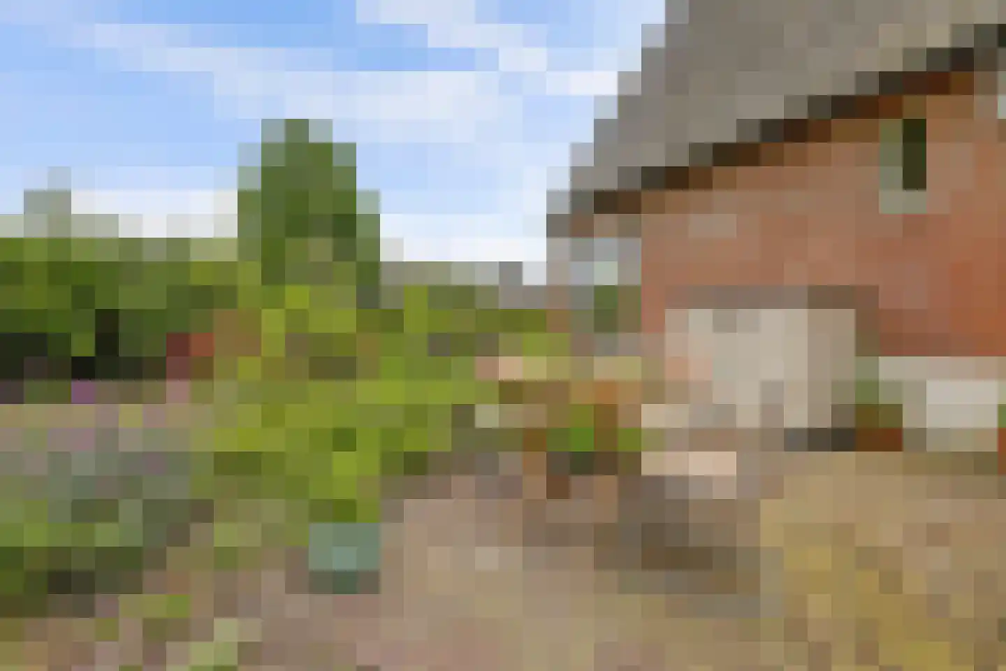 Berkenlaan 10 Velden thumbnail 39