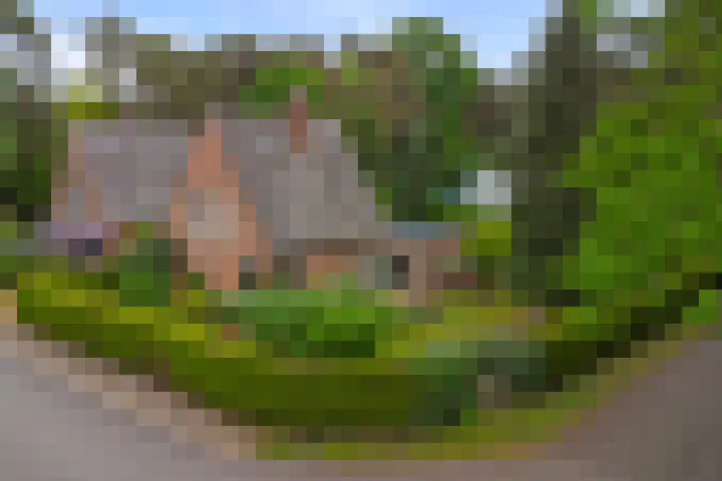 Berkenlaan 10 Velden thumbnail 46