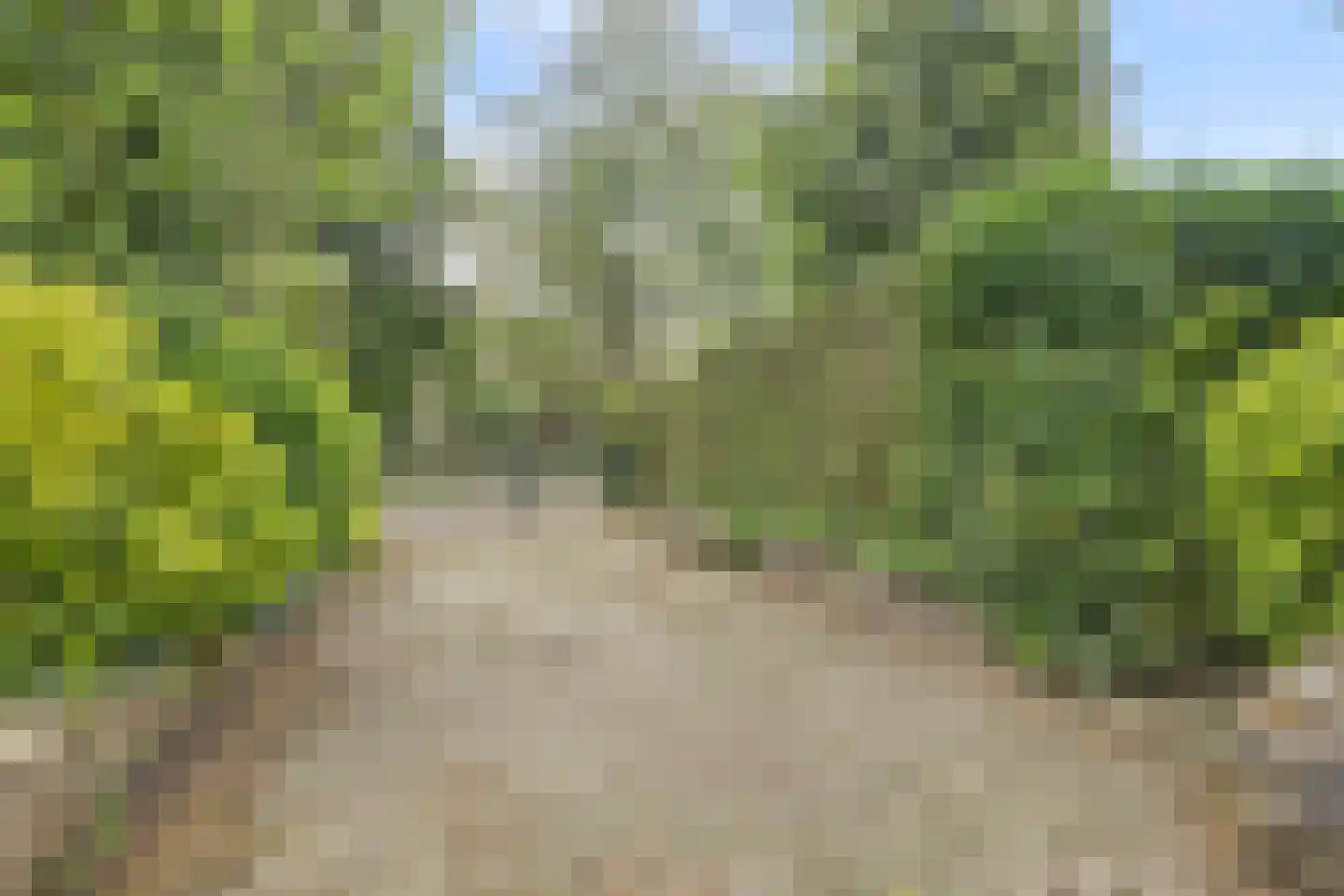 Berkenlaan 10 Velden thumbnail 47