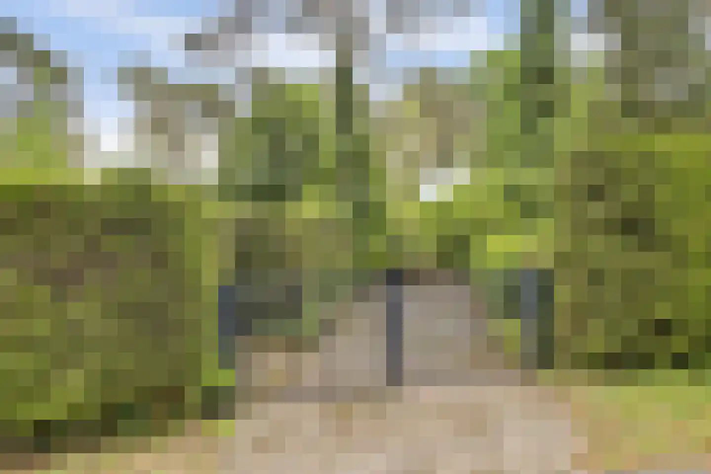 Berkenlaan 10 Velden thumbnail 49