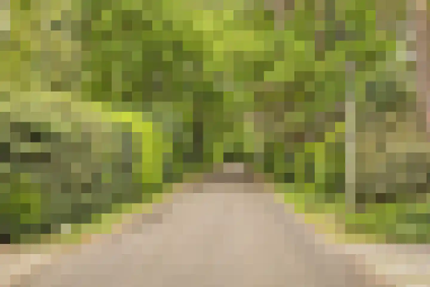 Berkenlaan 10 Velden thumbnail 52