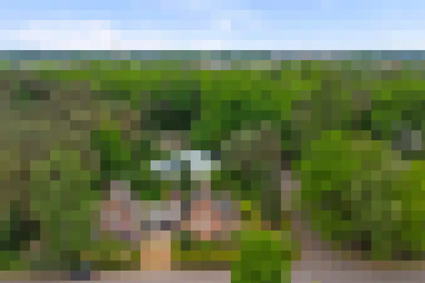 Berkenlaan 10 Velden thumbnail 55