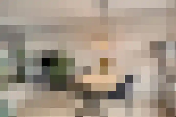 Berkenlaan 10 Warnsveld thumbnail 11