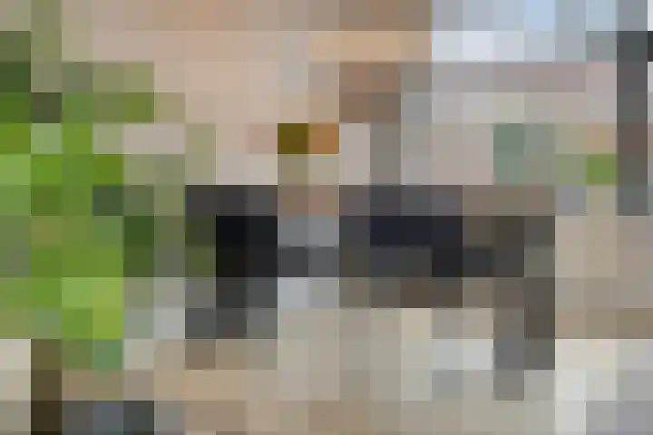Berkenlaan 10 Warnsveld thumbnail 12