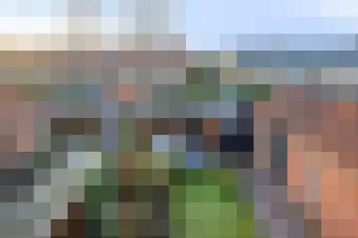 Berkenlaan 10 Warnsveld thumbnail 19