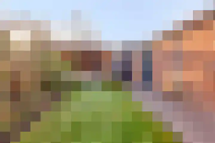 Berkenlaan 10 Warnsveld thumbnail 31