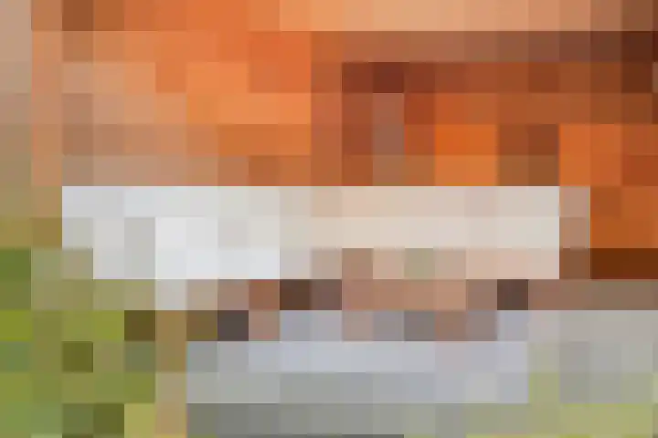 Berkenlaan 10 Warnsveld thumbnail 32