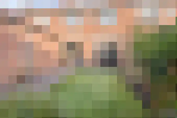 Berkenlaan 10 Warnsveld thumbnail 34