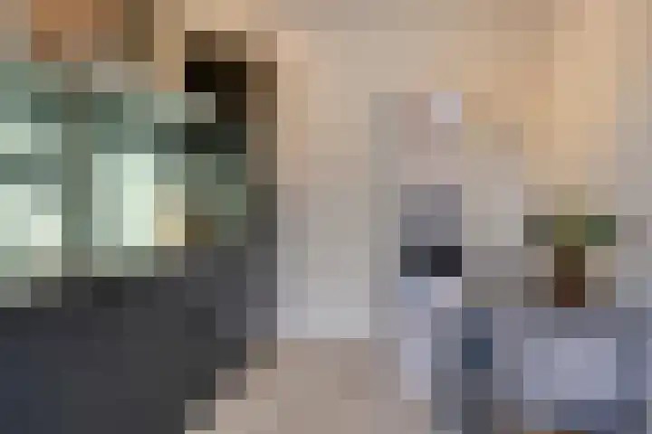 Berkenlaan 10 Warnsveld thumbnail 4