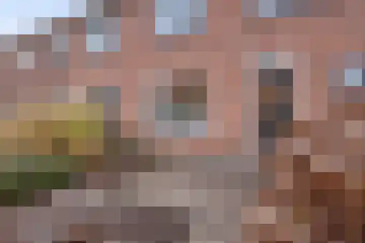 Berkenlaan 10 Warnsveld thumbnail 6