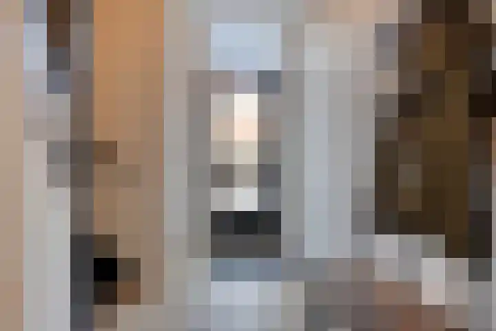 Berkenlaan 10 Warnsveld thumbnail 8